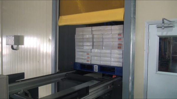 Pallet on Conveyor Transfer Station